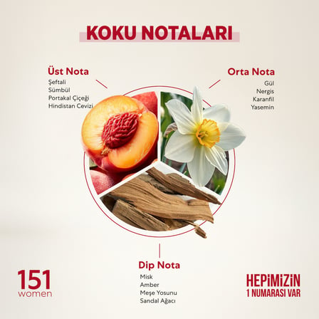 Bargello 151 Floral EDP Çiçeksi Kadın Parfüm 50 ml  