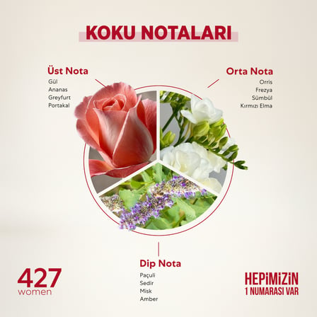 Bargello 427 Floral EDP Çiçeksi Kadın Parfüm 50 ml  