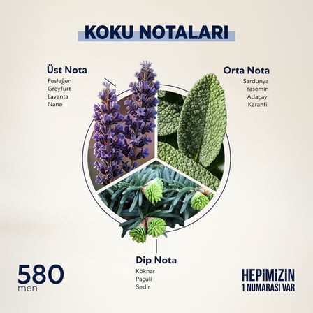 Bargello 580 Fresh EDP  Erkek Parfüm 50 ml  