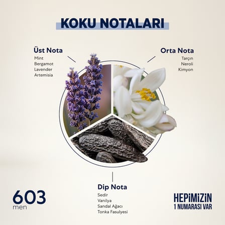 Bargello 603 Oriental EDP  Erkek Parfüm 50 ml  