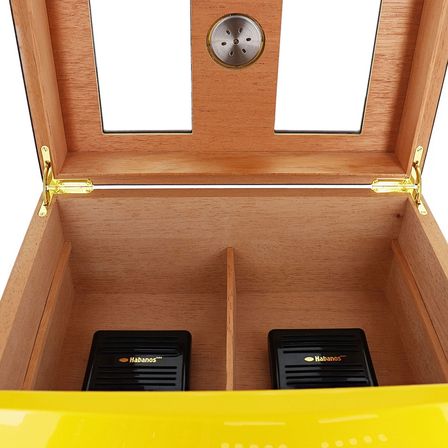 Cohiba Camlı Puro Kutusu Humidor Sarı 70's