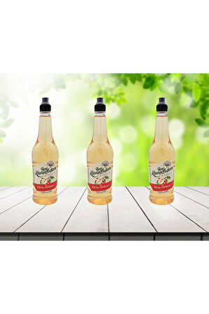 Elma Sirkesi 750 ml 3 adet