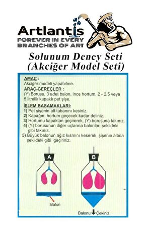 Solunum Deney Seti 7 Parça 1 Paket Akciğer Model Seti Y Boru Tıpa Balon Okul Sınıf Deney Seti