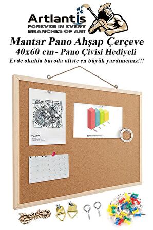 Mantar Pano Ahşap Çerçeve 40x60 cm 1 Adet Harita Çivisi Hediyeli Duvara Monte Mantar Çerçeve Evde Okulda Büroda Ofiste