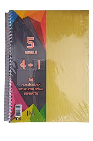 4+1 Ayraçlı Defter 5 Konulu 125 Yaprak 1 Adet 4 Kareli 1 Çizgili Spralli Plastik Kapak Seperatörlü