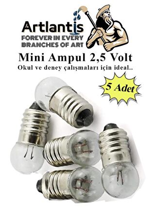 Mini Ampul 2,5 Volt 5 Adet 1 Paket Küçük Elektrik Deney Ampulü 2.5 v Okul Sınıf Elektrik Devre Deney Ampulü