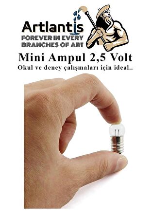 Mini Ampul 2,5 Volt 5 Adet 1 Paket Küçük Elektrik Deney Ampulü 2.5 v Okul Sınıf Elektrik Devre Deney Ampulü