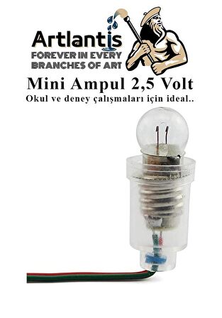 Mini Ampul 2,5 Volt 5 Adet 1 Paket Küçük Elektrik Deney Ampulü 2.5 v Okul Sınıf Elektrik Devre Deney Ampulü