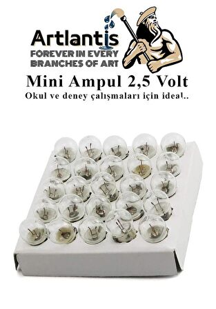 Mini Ampul 2,5 Volt 10 Adet 1 Paket Küçük Elektrik Deney Ampulü 2.5 v Okul Sınıf Elektrik Devre Deney Ampulü