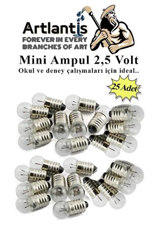 Mini Ampul 2,5 Volt 25 Adet 1 Paket Küçük Elektrik Deney Ampulü 2.5 v Okul Sınıf Elektrik Devre Deney Ampulü