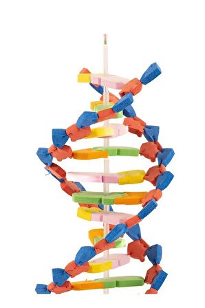 Dna Modeli 1 Paket Evadan DNA Yapım Seti Dna Saemalı Deney Yapım Seti Okul Materyali