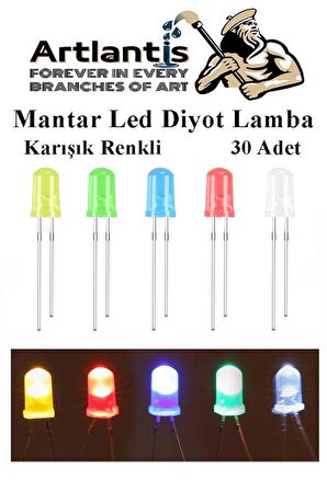 Mantar Led Diyot Lamba 30 lu 1 Paket Karışık Renkli 4.8 mm Mini Mantar Led Lamba