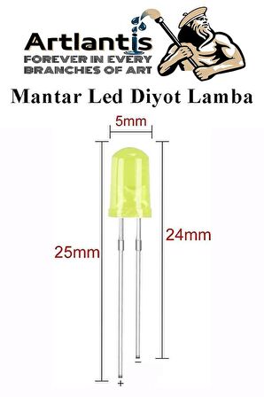 Mantar Led Diyot Lamba 30 lu 1 Paket Karışık Renkli 4.8 mm Mini Mantar Led Lamba