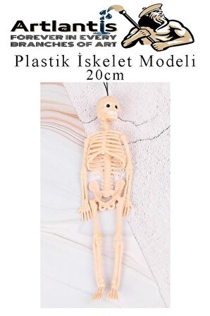 Plastik İskelet Modeli 20 cm 1 Adet Plastik İnsan İsket Modeli Silikon İskelet Deneyi Araba Süsü