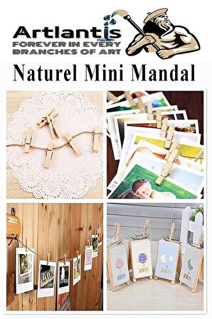 Naturel Mini Mandal Ahşap 150 Adet Renksiz Minik Mandal Dekoratif Süsleme Fotoğraf Asma Mandalı Dekarasyon