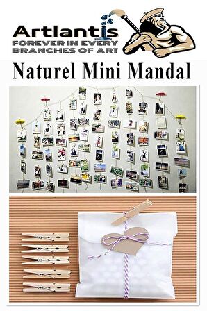 Naturel Mini Mandal Ahşap 150 Adet Renksiz Minik Mandal Dekoratif Süsleme Fotoğraf Asma Mandalı Dekarasyon