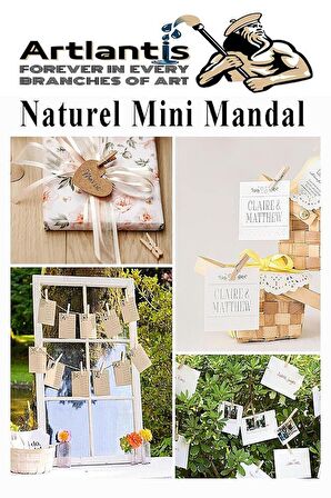 Naturel Mini Mandal Ahşap 150 Adet Renksiz Minik Mandal Dekoratif Süsleme Fotoğraf Asma Mandalı Dekarasyon