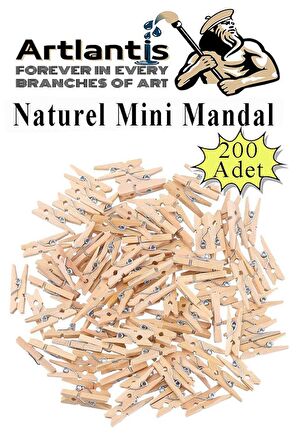 Naturel Mini Mandal Ahşap 200 Adet Renksiz Minik Mandal Dekoratif Süsleme Fotoğraf Asma Mandalı Dekarasyon