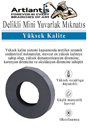 Yuvarlak Delikli Mıknatıs Mini 10 Adet 15x3 mm Mini Mıknatıs Seramik Kömür Mıknatıs Nişan Düğün Sünnet Çok Amaçlı Süsleme Mıknatıs