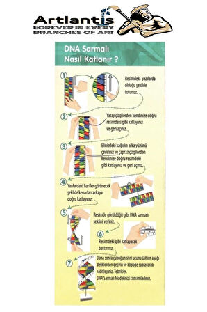 Dna Modeli 1 Paket Kartondan DNA Yapım Seti Dna Sarmalı Deney Yapım Seti Okul Materyali Fen Bilimleri