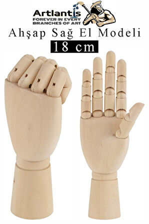 Ahşap Sağ El Modeli 18 cm 1 Adet Sağ El Maketi Çoçuk Ahşap Manken Sağ El Parmak Model Hareketli Esnek Eskiz Çizim Boyama