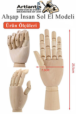 Ahşap Sol El Modeli 25 cm 1 Adet Sol El Maketi Bayan Ahşap Manken Sol El Parmak Model Hareketli Esnek Eskiz Çizim Boyama