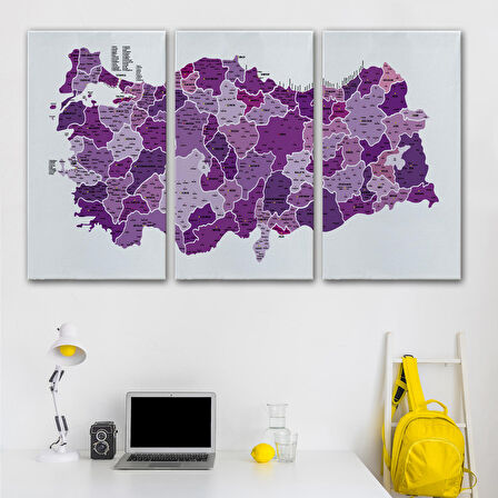 Harita Sepeti Türkiye Haritası Kanvas Tablo İl ve İlçeli Ayrıntılı Eğitici Dekoratif Tablo 3025