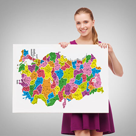 Harita Sepeti Türkiye Haritası Kanvas Tablo İl ve İlçeli Ayrıntılı Eğitici Dekoratif Tablo 3029