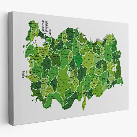 Harita Sepeti Türkiye Haritası Kanvas Tablo İl ve İlçeli Ayrıntılı Eğitici Dekoratif Tablo 3035