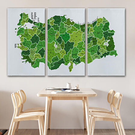 Harita Sepeti Türkiye Haritası Kanvas Tablo İl ve İlçeli Ayrıntılı Eğitici Dekoratif Tablo 3035