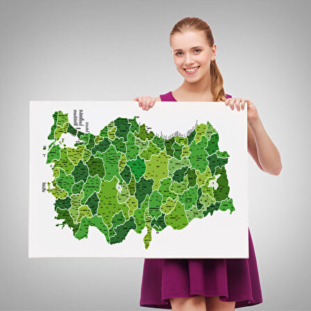 Harita Sepeti Türkiye Haritası Kanvas Tablo İl ve İlçeli Ayrıntılı Eğitici Dekoratif Tablo 3035