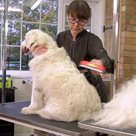 Evcil Köpek Dostum için Tarar Temizler Çelik Uzun Tüy Toplayıcı Fırçası