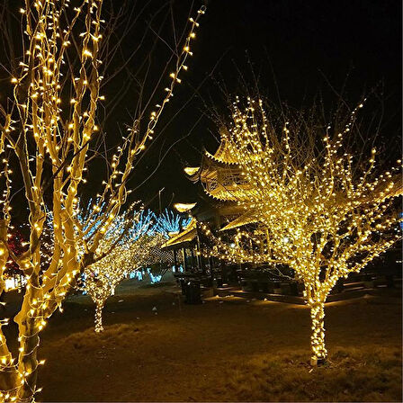 Bahçe Keyfi için 10MT Siyah Kablolu 100LED Dekoratif Şerit Işıklandırma