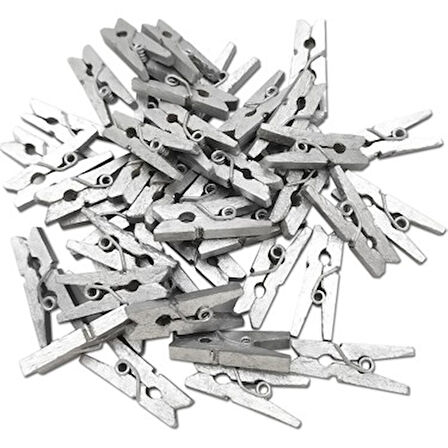 Büro Ev Hijyeni için 10x100ADET Silver Ahşap Dekor 2,5CM Mandal Seti