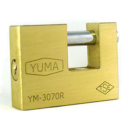 Büro İşyeri Ev Bahçe Kapı Kepenk için 79MM Pirinç Kayar Milli Trend Asma Kilit