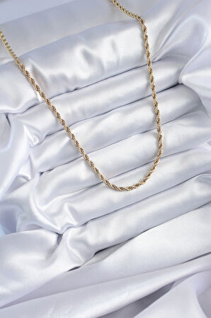 Zarif Kadın için Golden Çelik 60CM Burgu Kolye