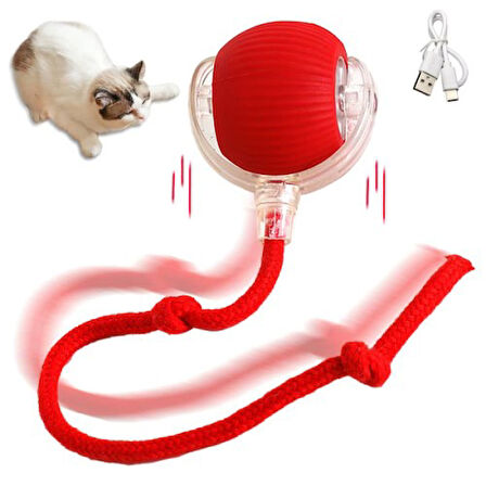 Büro Ev Evcil Hayvanı için Şarjlı Kedi Oyuncağı