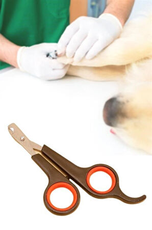 Büro Ev Evcil Hayvanı için Mini Çelik Uç Kedi Köpek Pati Tırnak Bakım Makası