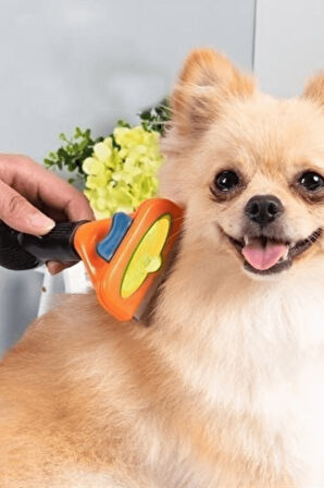 Büro Ev Evcil Hayvanı için Çelik Uzun Tüylü Köpek Tüy Tarar Toplar Fırçası