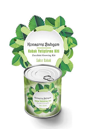 Büro Ev Yazlık için Sakız Kabak Konservede Yetiştirme Tohum Kiti