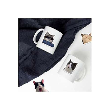 Büro Ev Ofis Bilgisayarı için Macbook Notebook Laptop Kedicikler Sticker Seti