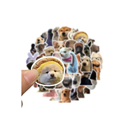 Büro Ev Ofis Bilgisayarı için Macbook Notebook Laptop Köpekcikler Sticker Seti