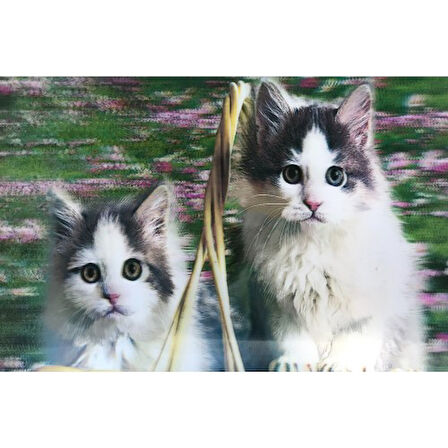 Büro Ev Ofis Dekoru için 5D Stil Elmas Boyalı Kedi Tablosu