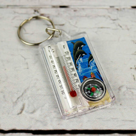 Büro Ev Ofis Hediyesi için Anahtarlık Tipi Desenli Tasarım Termometreli Yön Pusulası