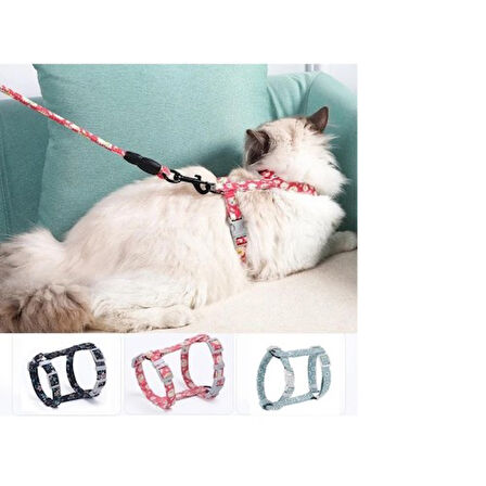 Büro Ev Ofis Evcil Pet Hayvanı için Göğüs Tipi Kedi Gezdirme Tasması