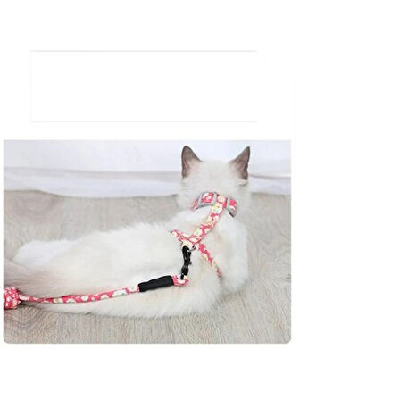 Büro Ev Ofis Evcil Pet Hayvanı için Göğüs Tipi Kedi Gezdirme Tasması