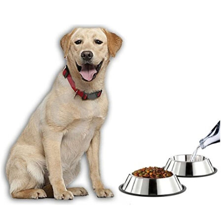Büro Ev Ofis Evcil Pet Hayvanı için 34CM Paslanmaz Çelik Kedi köpek Beslenme Mama Kabı