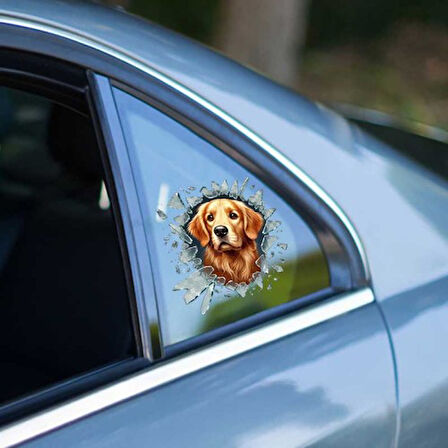 Büro Ev Ofis Arabası için 10x10CM Tekli Araç Dışı Golden Dog Oto Cam Stickerı