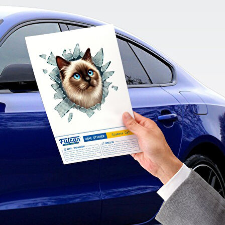 Büro Ev Ofis Arabası için 10x10CM Tekli Araç Dışı Siamesse Oto Cam Stickerı