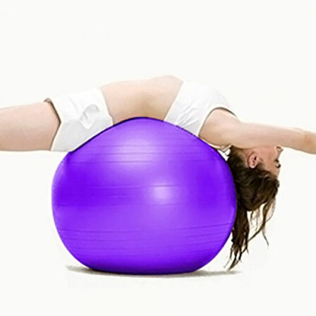 Büro Ev Ofis Yazlık Spor Egzersizi için 65CM Çapında Pilates Topu